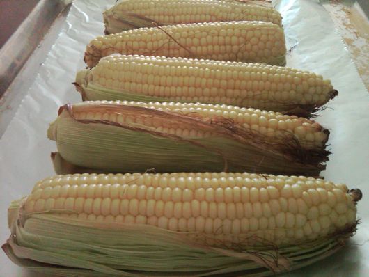 corn on the cob recipe, eating made easy