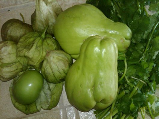 squash chayote