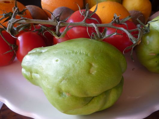 squash chayote