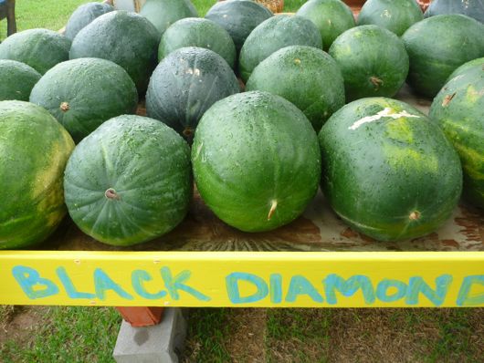 watermelon salad recipe