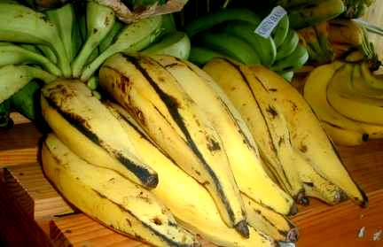 recipe plantains