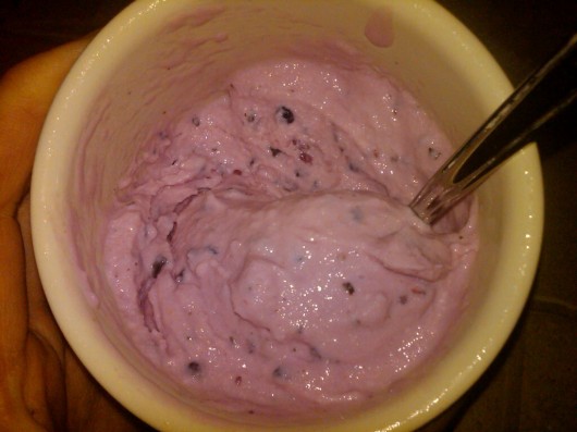 frozen yogurt recipe