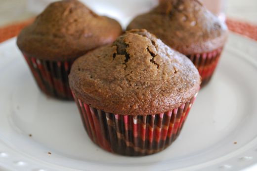 chocolate muffin recipe