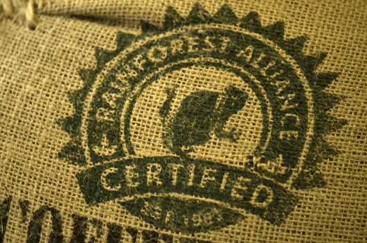 rainforest alliance coffee