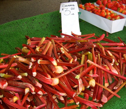 rhubarb recipe