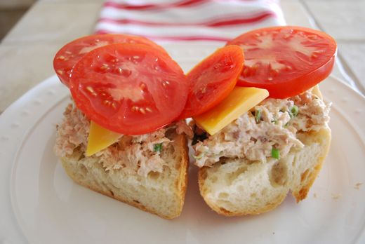 canned salmon recipes