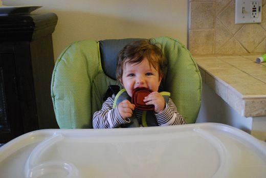 baby starting solids