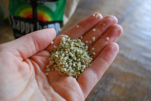 hemp seeds