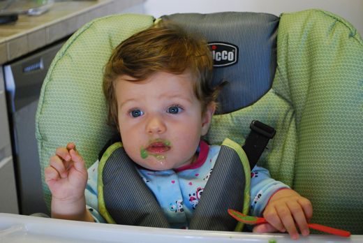 introducing solid foods