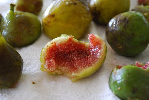 fresh fig recipes