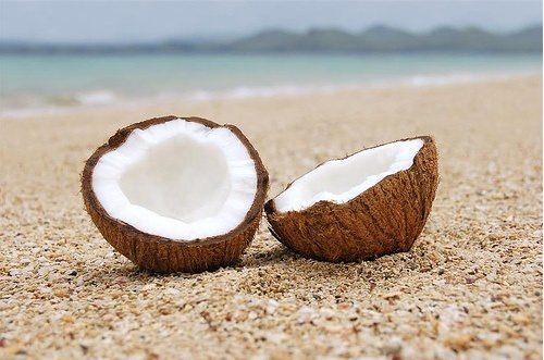 coconut oil