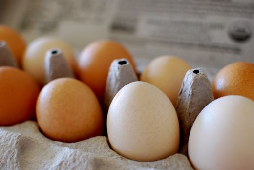 pasture raised eggs