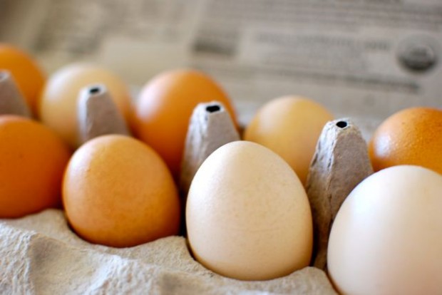 pastured eggs