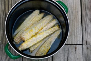 corn cob stock