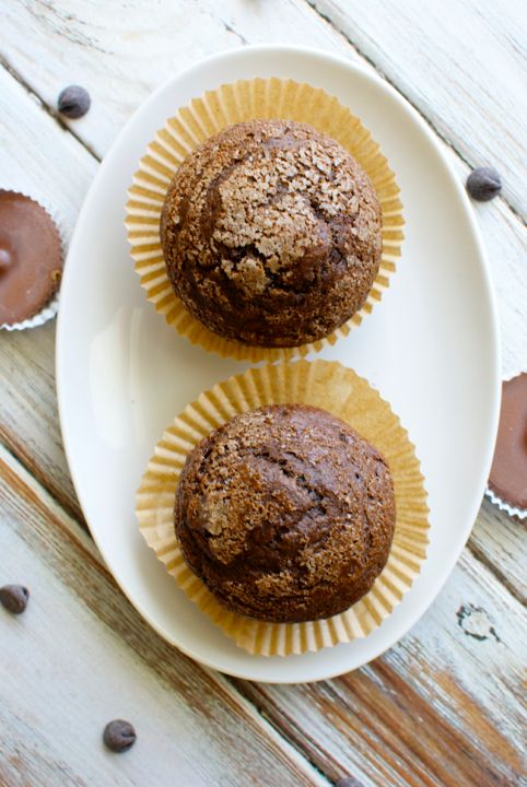 chocolate chocolate chip muffins