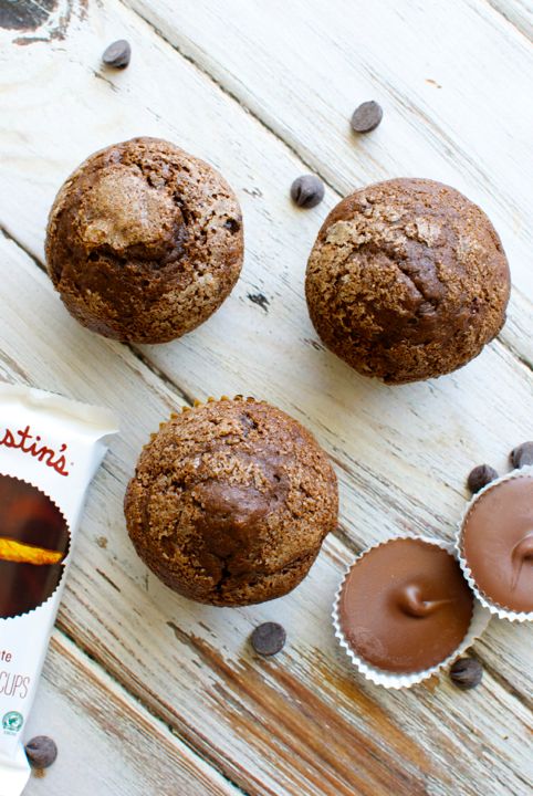 chocolate chocolate chip muffins