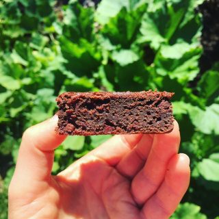brownies made with zucchini
