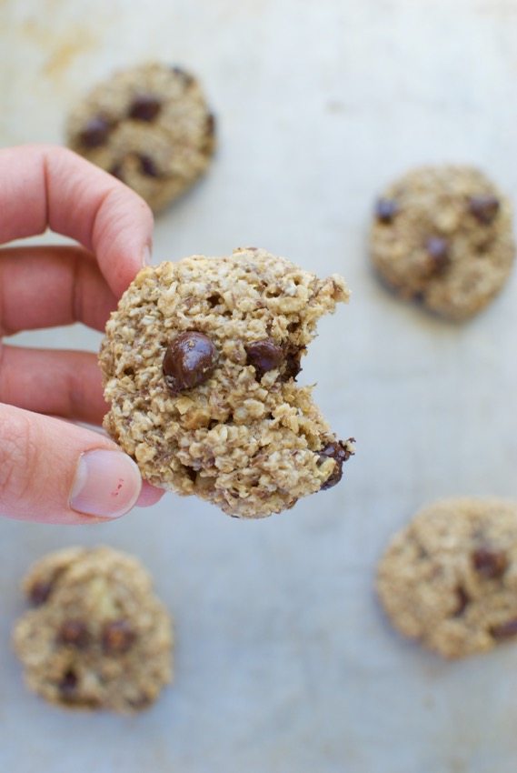 chocolate peanut butter breakfast cookies