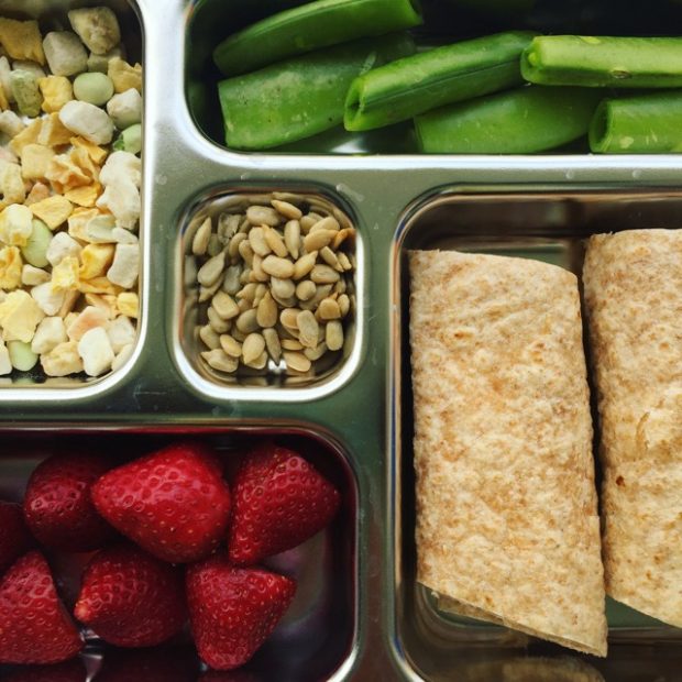 nut free school lunch ideas