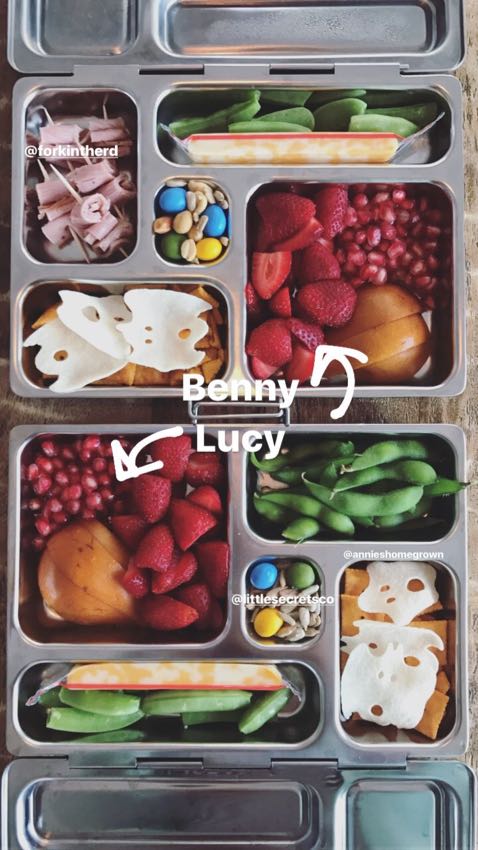 Complete Guide to Disposable Lunches for School and Daycare - Kids Eat in  Color