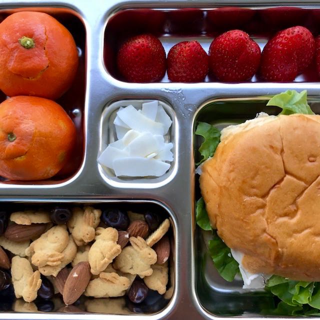 Simple, Whole Food Pack Ahead Lunch Ideas for Kids – Treehouse Schoolhouse